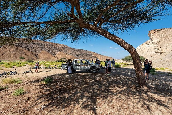 Private Wadi El Gemal Tour From Marsa Alam - Cancellation Policy and Weather Contingency