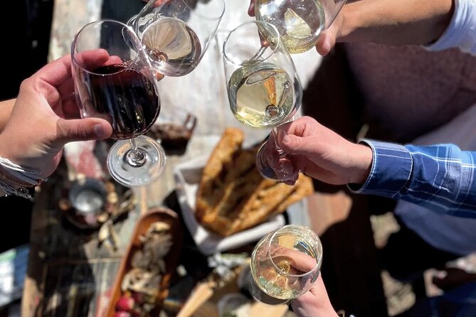Private Wine Excursion in Camargue Sand Minibus - Pricing Information
