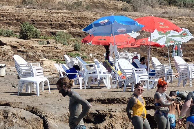 Privet Tour to Dead Sea - Vehicle and Transportation Details