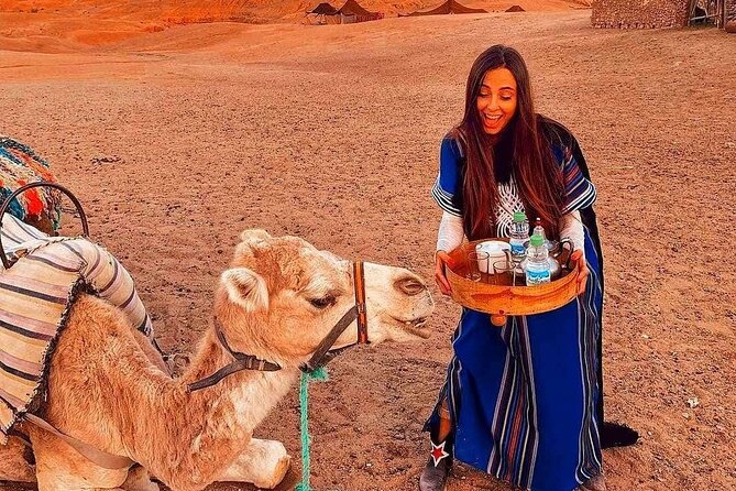 Quad Bikes & Camel Ride With Luxury Dinner in Agafay Desert - Directions and End Point