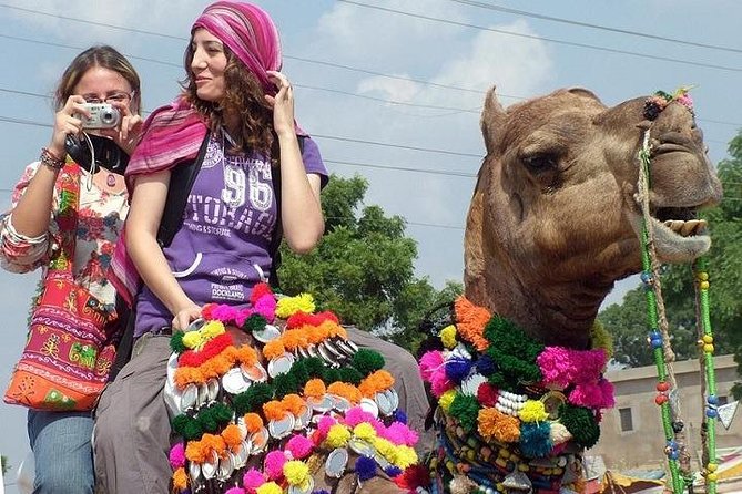 Rajasthan Village Tour - The Sum Up