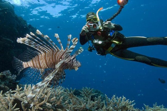 Ras Mohammed Snorkeling Tour by Boat - Whats Included