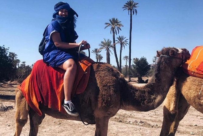 Ride Camels in Marrakech Palm Groves - Participant Information and Accessibility