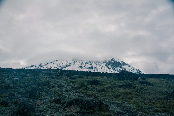 Rongai Route - 7 Days Kilimanjaro Climb - Fitness and Health Considerations