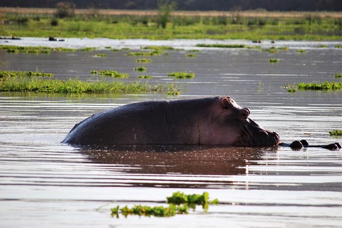 Safari Zimbabwe and Botswana - Additional Tour Information