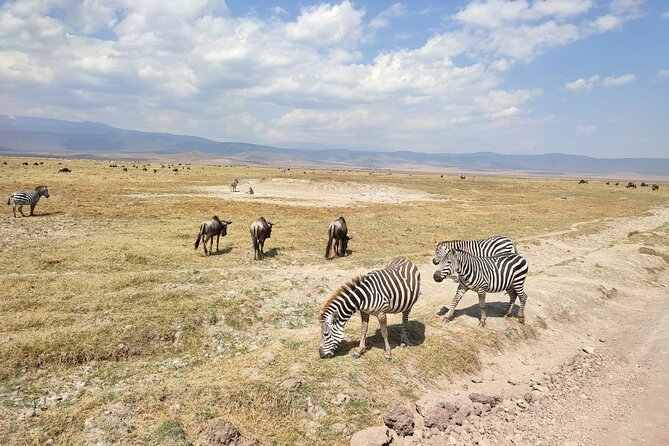 Safaris 4 Days Serengeti, Ngorongoro & Tarangire - Frequently Asked Questions