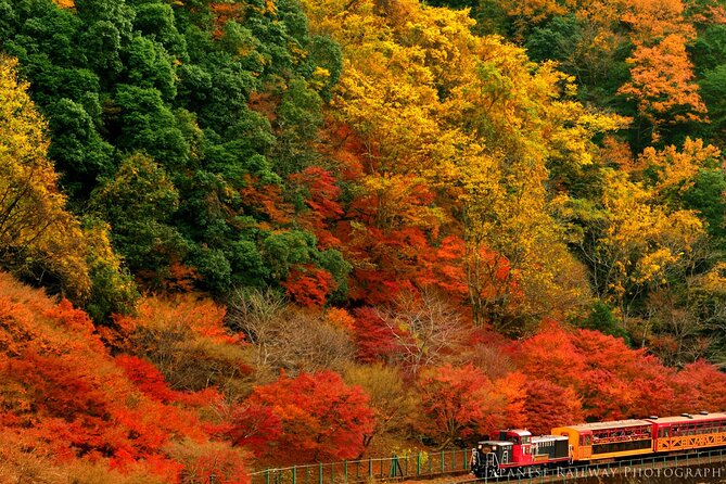 Sagano Romantic Train One-Way Ticket - Accessibility