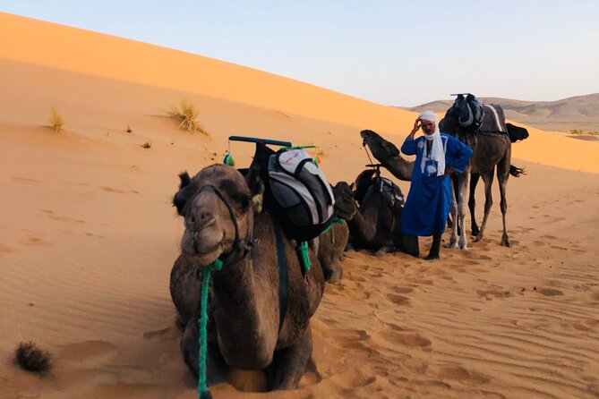 Sahara Desert & Atlas Mountains 5 Days / 4 Nights - Pickup and Flexibility