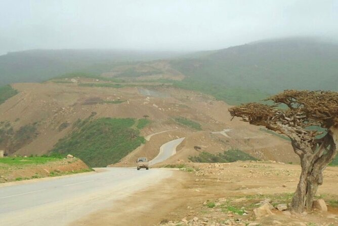 Salalah Half-Day Private Tour in the East - Frequently Asked Questions