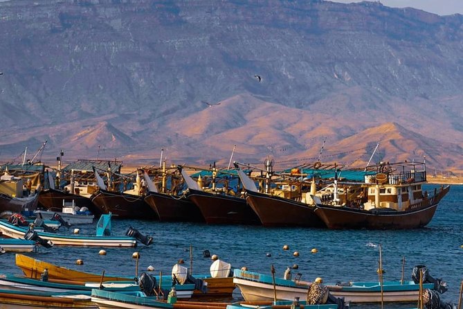 Salalah Mountain Jungle Safari Tour (Full Day Tour) - Pricing Details