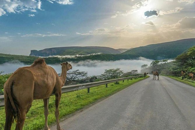 Salalah West Tour 2 Long Way Drive in Mountains Full Day Tour - Additional Information