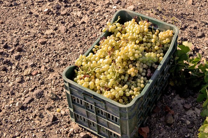 Santorini Private Wine Tour & Sunset in Oia - Transportation Details