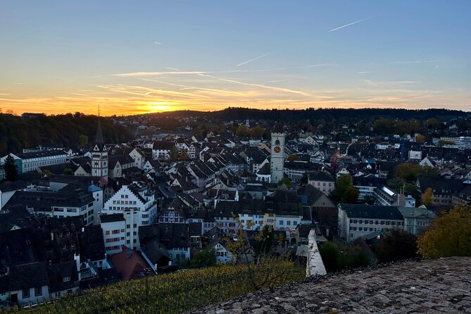 Schaffhausen and the Rhine Largest Falls Private Tour From Basel - Additional Info