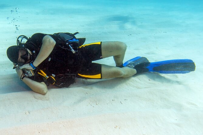 Scuba Diving Open Water PADI Course, Diving Licence Fees - Sharm El Sheikh - Additional Tour Information
