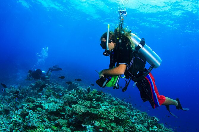 Scuba Diving Tour and Experience in Alanya - Safety Guidelines