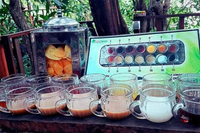 Sekumpul Waterfall and Bedugul Tour - Transportation and Activities