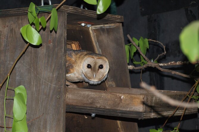 Self-Guided Trails With Bush Braai and a Movie - Included Amenities