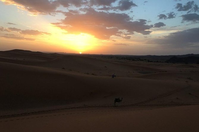 Shared 3 Days Tour From Marrakech To Fez Via Merzouga Desert - Group Size Limitations