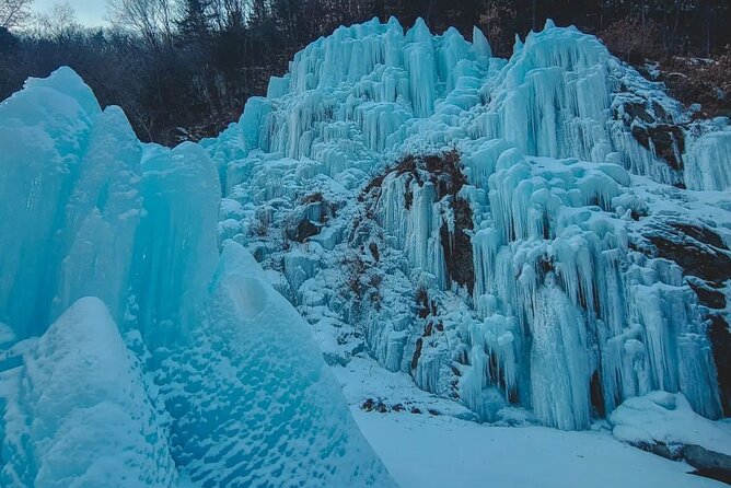 Shared Korean Winter Tour at Nami Island With Professional Guide - Frequently Asked Questions