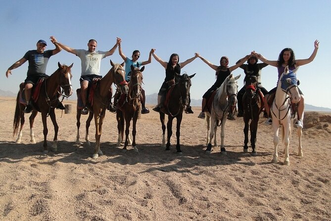 Sharm El Sheikh Desert Horseback Riding Adventure One/Two Hours - Important Notes on Accessibility