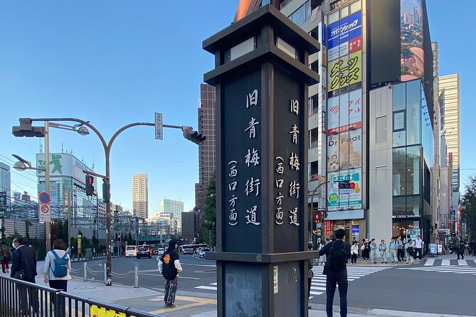 SHINJUKU Old & New - Izakaya and the Cultural Deepdive Experience - Deep Dive Into Japanese Culture