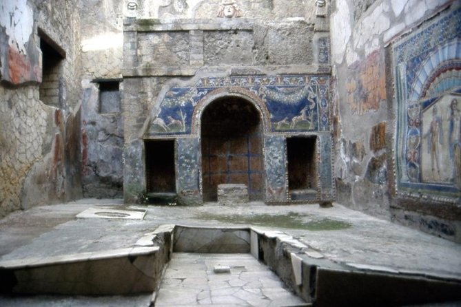 Shore Excursion Herculaneum Mt Vesuvius and Winery Visit - Expert Guides and Insights
