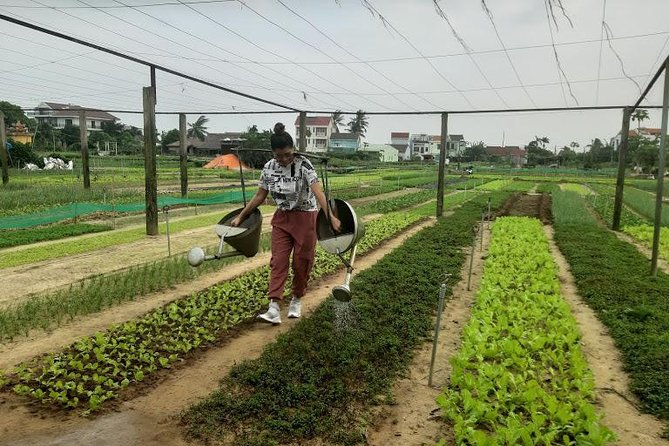 Shore Excursion: Hoi an Countryside Biking Tour From Tien Sa or Chan May Port - Inclusions and Pricing