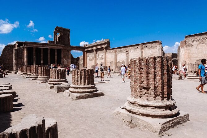 Shore Excursion Private Pompeii and Wine Tasting From Naples Port - Free Cancellation Policy