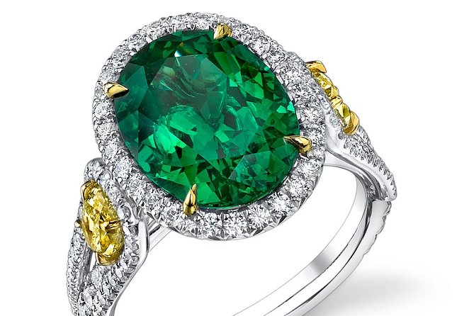 Shore Excursions Port Passenger Terminal to Colombo Wetland Tour. - What To Expect