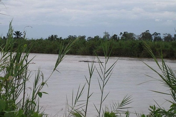 Short Wildlife and Nature Safari in Rumonge - Booking Confirmation