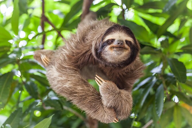 Shuttle Service From San Jose To Monteverde - What to Expect During the Ride
