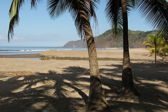 Shuttle To/From San Jose Airport To/From Jaco Beach - Accessibility Options