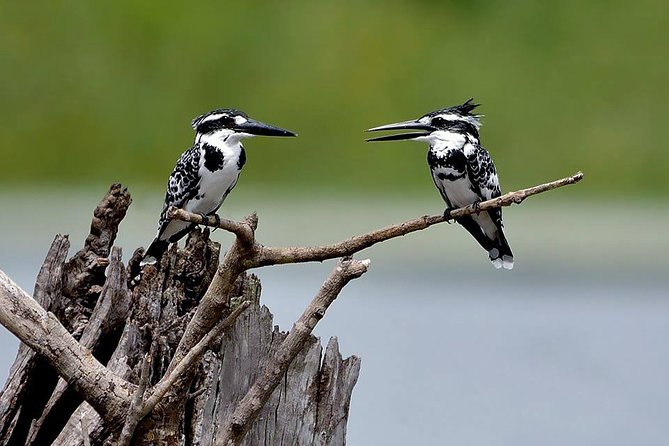 Sigiriya Rock and Village Tour From Mount Lavinia - Traveler Expectations