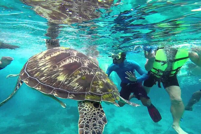Similan Islands Excursion by Speedboat From Phuket