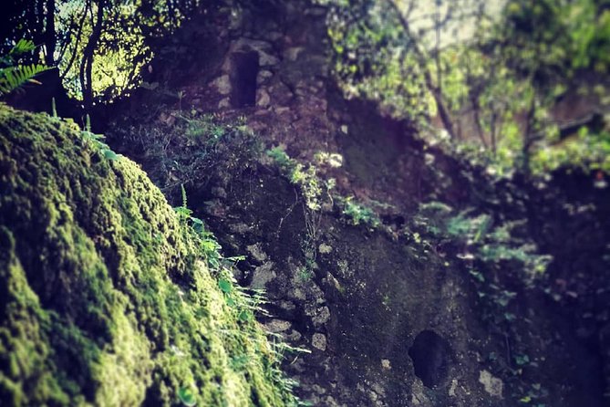 Sintra, Legends and Medieval Stories - Private Day Walk - The Sum Up