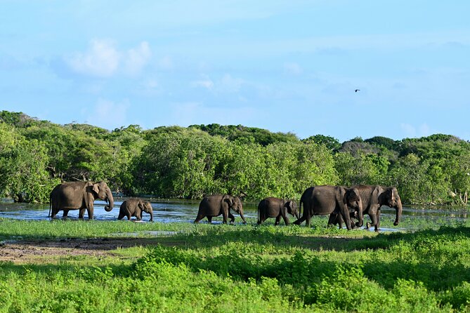 Six-Day Private Tour in Sri Lanka With 3-Star Hotel Stays and HB - Admission Fees