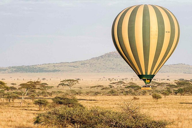Six Days Big Five Safari - Pickup and Meeting Details