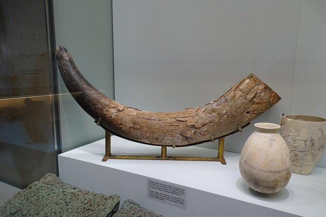 Skip the Line-Archaeol Museum/Knossos Palace-Private Guided Tour - Customization Options