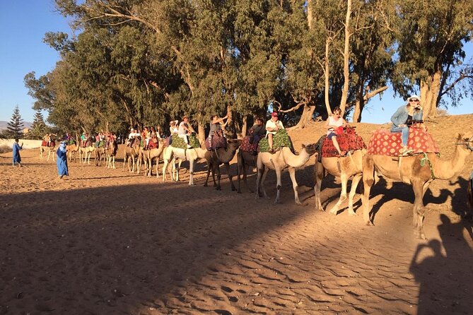 Small Desert AGADIR via JEEP 4*4 +Lunch With Locals - The Sum Up