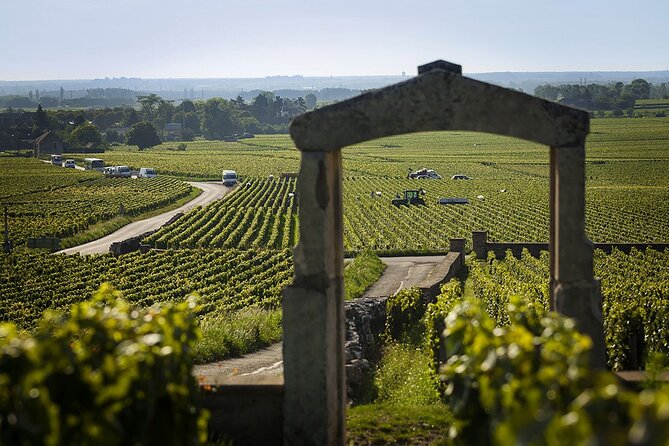 Small Group Wine Tasting Tour Côte De Beaune and Côte De Nuits - Frequently Asked Questions