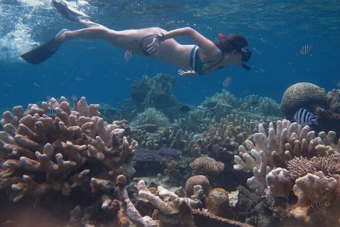 Snorkeling and Island Hopping Tour in Karimunjawa - Frequently Asked Questions