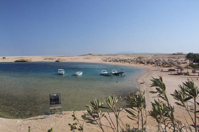 Snorkeling Day Trip in Sharm El Naga National Park and Lunch - Pricing Information