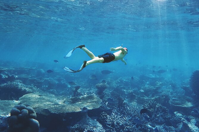 Snorkeling Trip to Giftun Island - Price Information