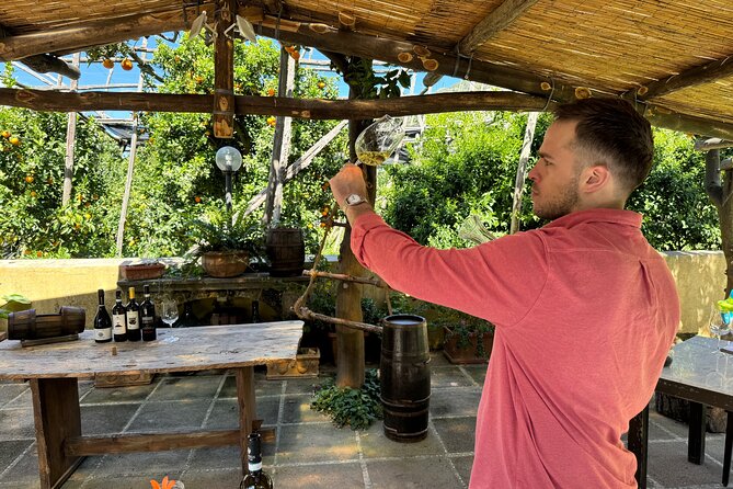 Sorrento Wine Tasting Experience - Frequently Asked Questions