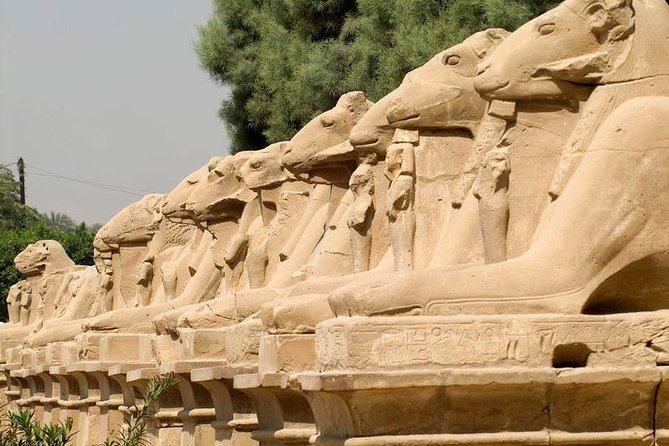 Sound and Light Show Karnak Temple - Booking Information