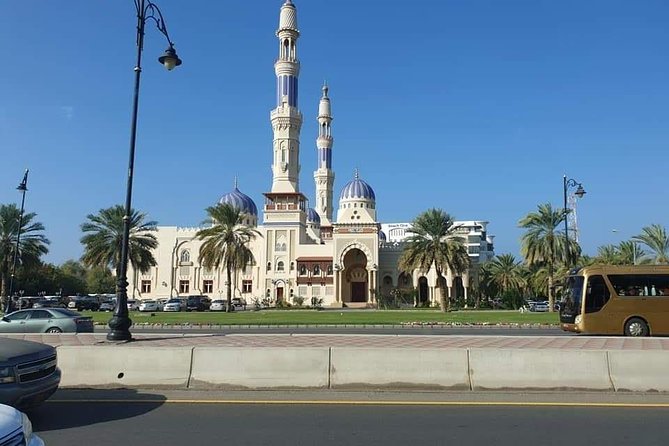 Special Friday-Muscat City Private Tour (Panoramic) - Language Guides