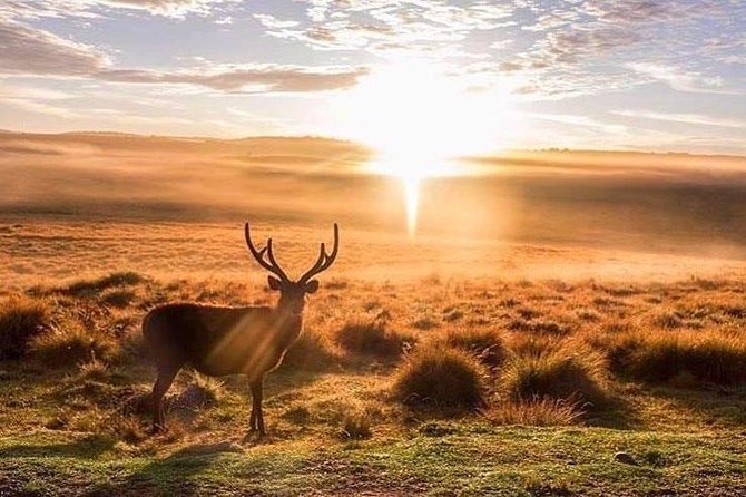 Sri Lanka Honeymoon Tour Package (12 Days , 11 Nights) Oll Including - Booking Directions