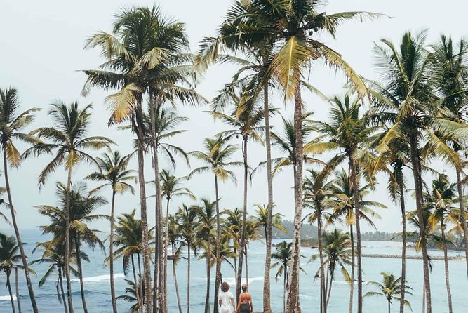 Srilanka Tour Package 7 Nights 8 Days H/B Basis - Pricing and Inclusions