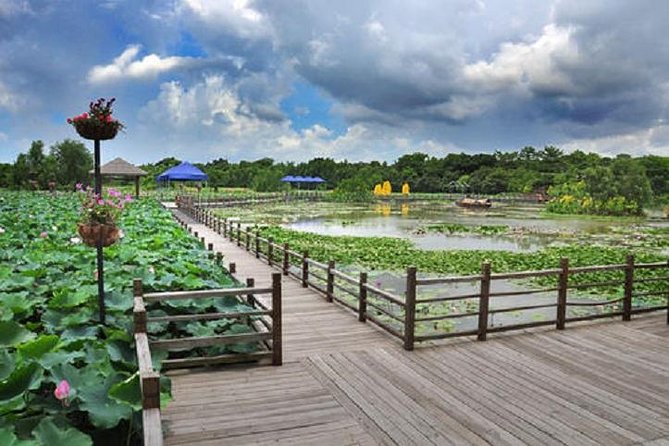 Sunflower Garden and Wild Bird Wetland Park Private Tour - Operator Information