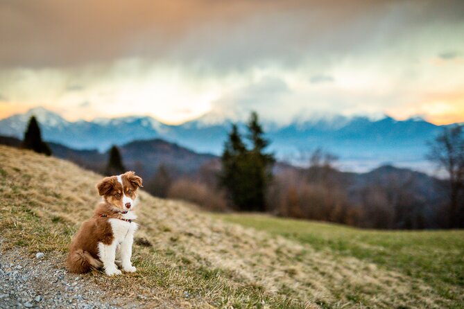 Sunrise To Sunset Phototour In The Alps - Weather Considerations